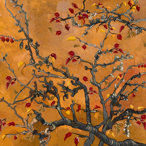 裸体视频app下载
